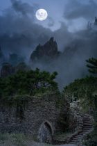 国产悬疑推理剧《迷局》封面,深蓝色调紧张氛围,全集高清免费在线观看